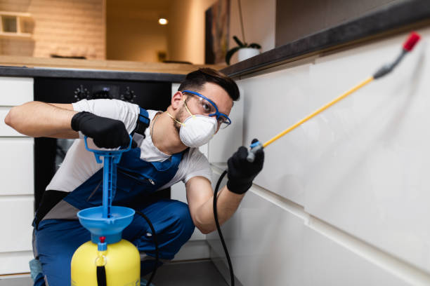 Best Rat Extermination Near Me  in Oakhurst, OK