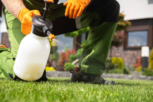 Best Emergency Pest Control  in Oakhurst, OK