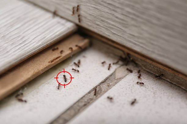 Pest Control Cost in Oakhurst, OK