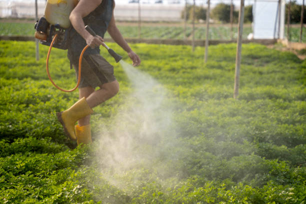 Best Exterminator Services  in Oakhurst, OK