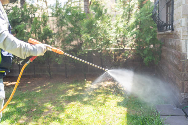 Best Pest Control for Homes  in Oakhurst, OK
