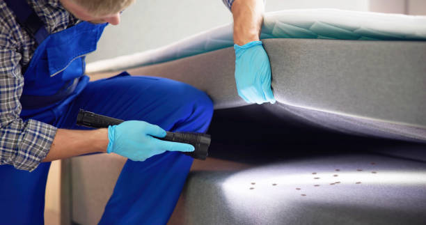 Best Pest Control Cost  in Oakhurst, OK