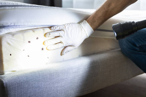 Reliable Oakhurst, OK Pest Control Solutions