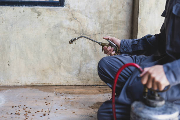 Best Pest Removal Services  in Oakhurst, OK